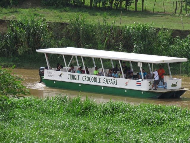 Jungle Safari Boat Experience